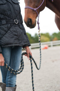 girl holding horse reins