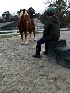 George on mounting block with Bob