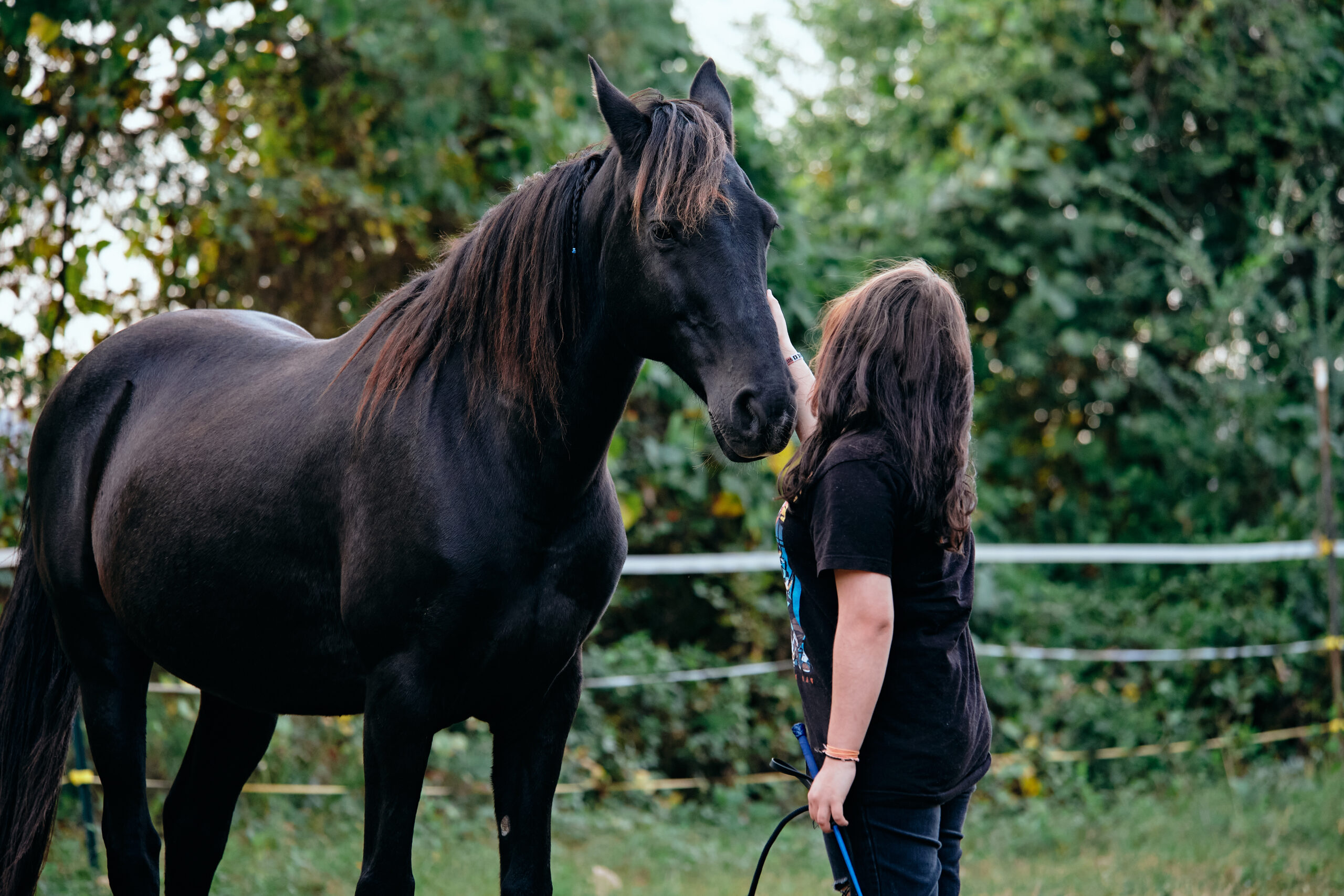 Read more about the article Hispanic Heritage & The Equestrian World