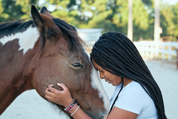 CORRAL Horses Healing Hearts