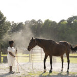 Teddie and Noelle 2024 Gala Horse Demo