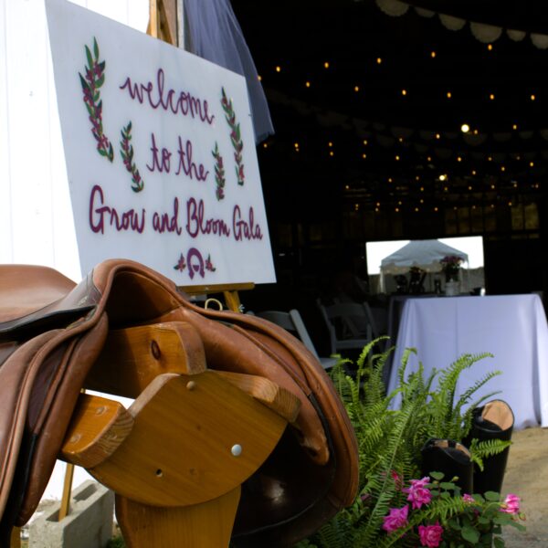 Entrance 2025 Gala