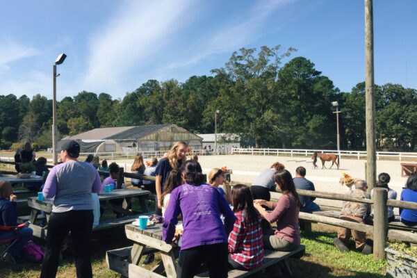 Kildaire Farm Event